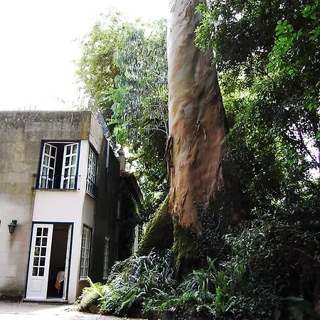 Casa De Esteiro Caminha Exterior photo