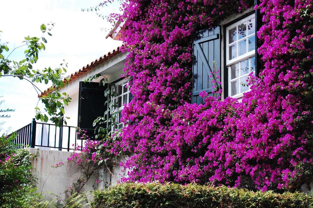 Casa De Esteiro Caminha