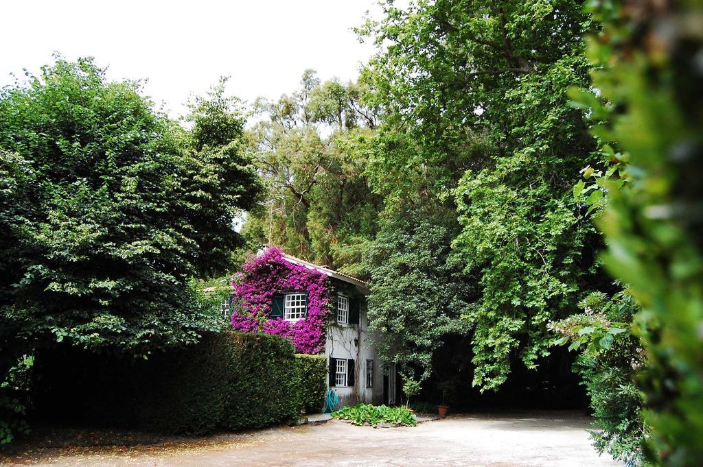 Landhaus Casa De Esteiro Caminha