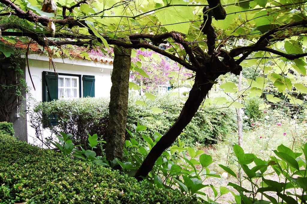 Casa De Esteiro